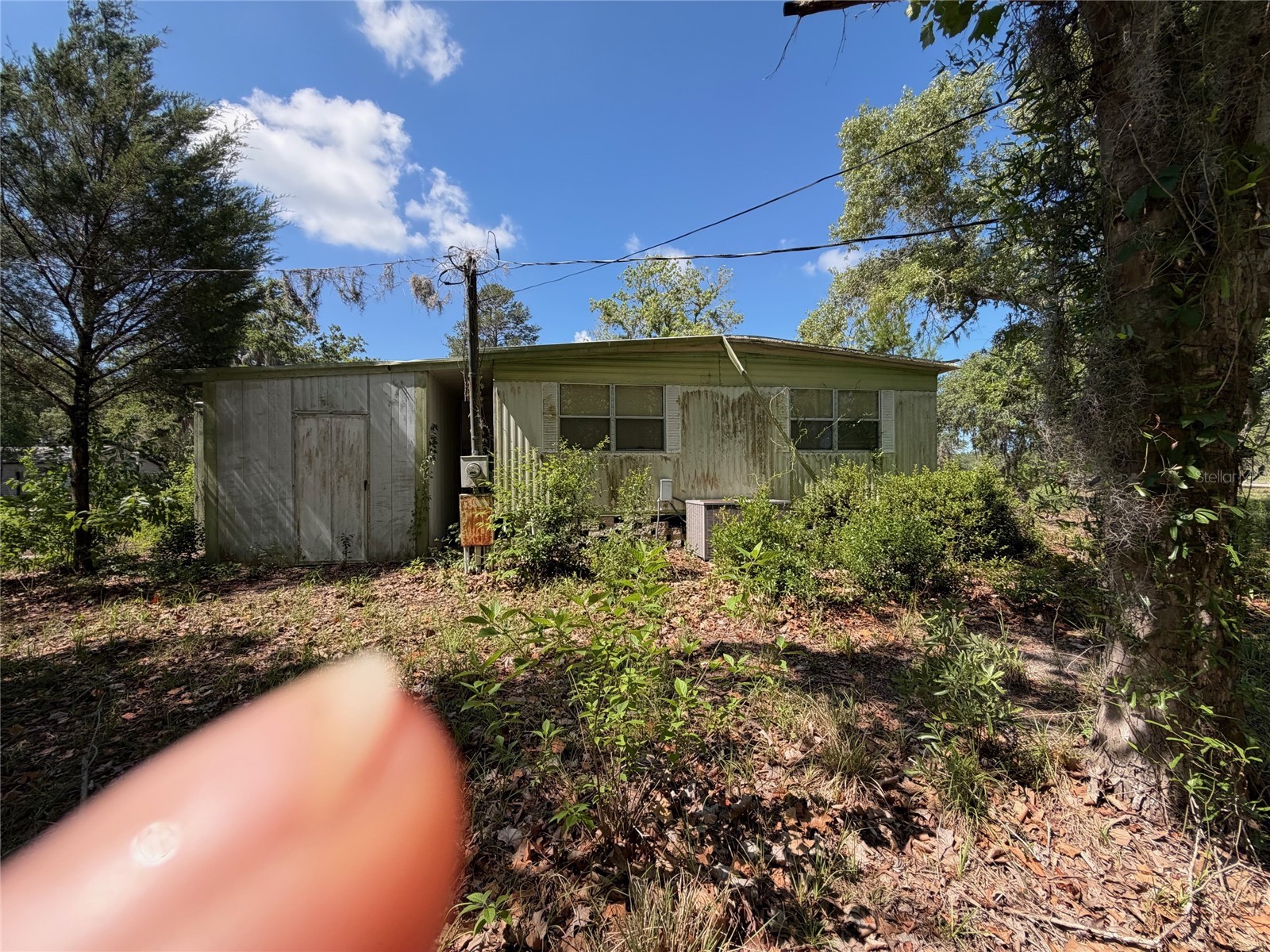 18054 Manteno Drive Spring Hill FL 34610 W7885881 image9