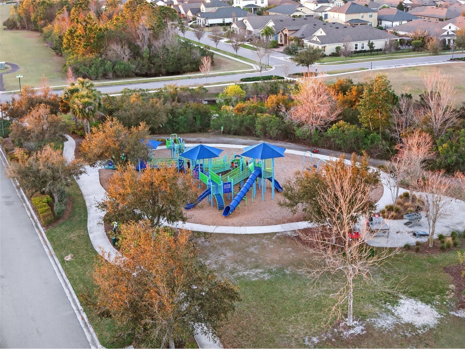 18056 Aero Avenue Land O Lakes FL 34638 TB8479436 image73