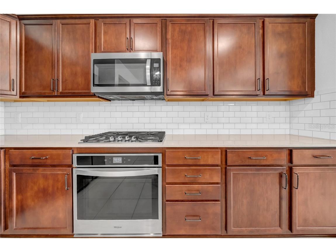 18058 Fenders Way Land O Lakes FL 34638 TB8427667 image25