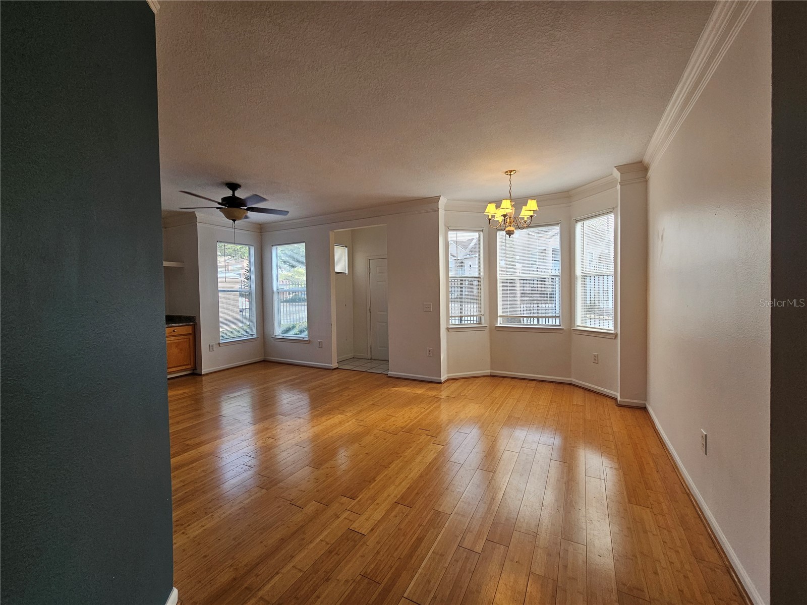 18058 Villa Creek Drive #18058 Tampa FL 33647 TB8509479 image4