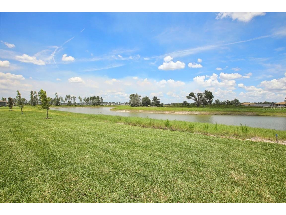 1806 Draughton Drive Zephyrhills FL 33541 O6317141 image11