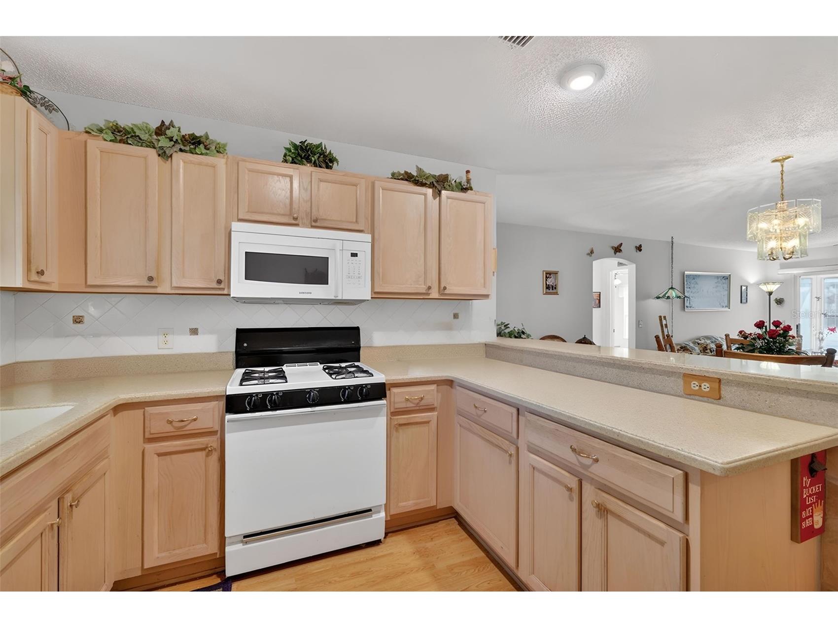 1806 Englewood Street The Villages FL 32162 G5111432 image6