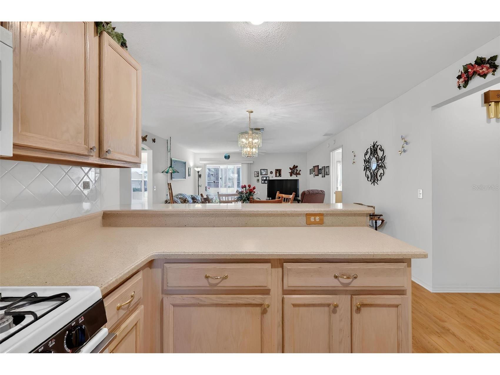 1806 Englewood Street The Villages FL 32162 G5111432 image7