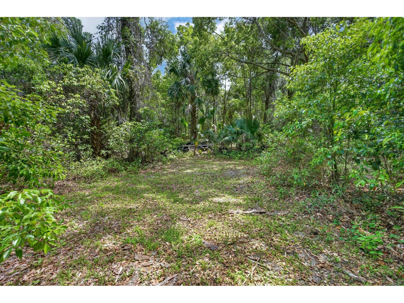 1806 Glenwood Oaks Lane Deland FL 32720 FC317906 image64