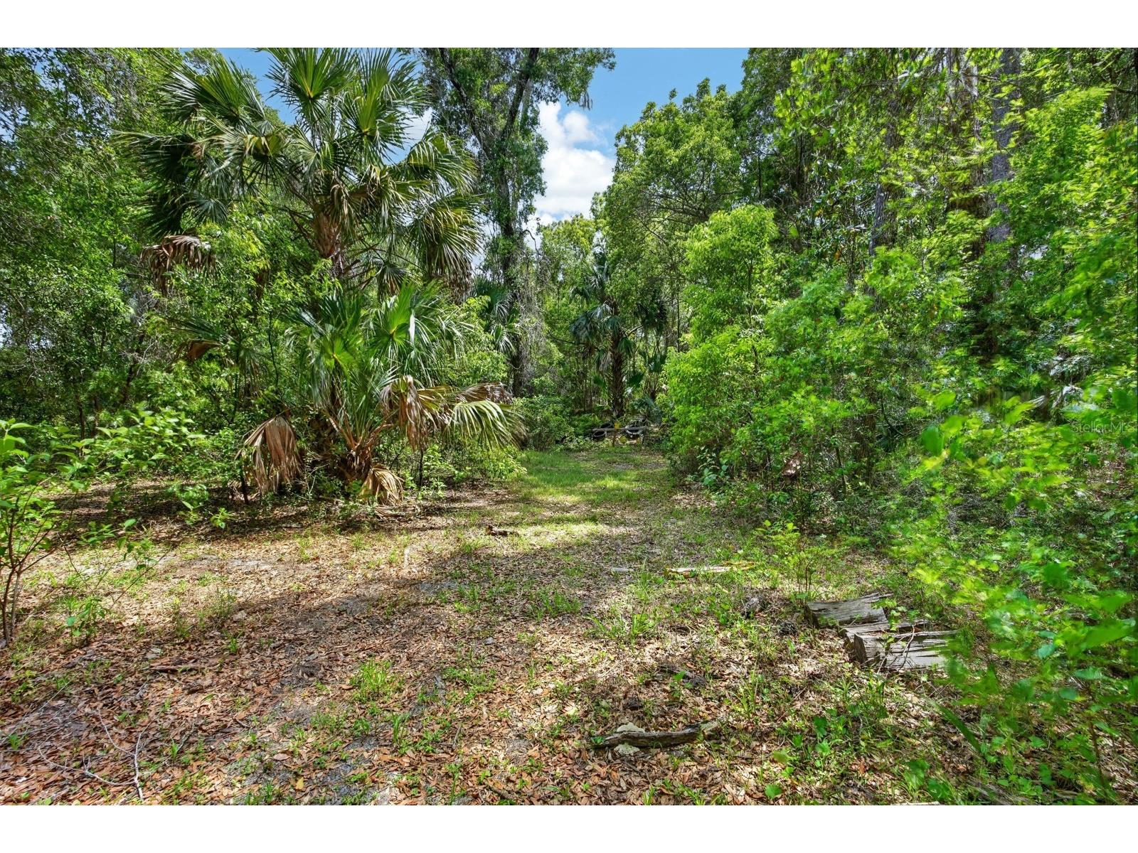 1806 Glenwood Oaks Lane Deland FL 32720 FC317906 image65