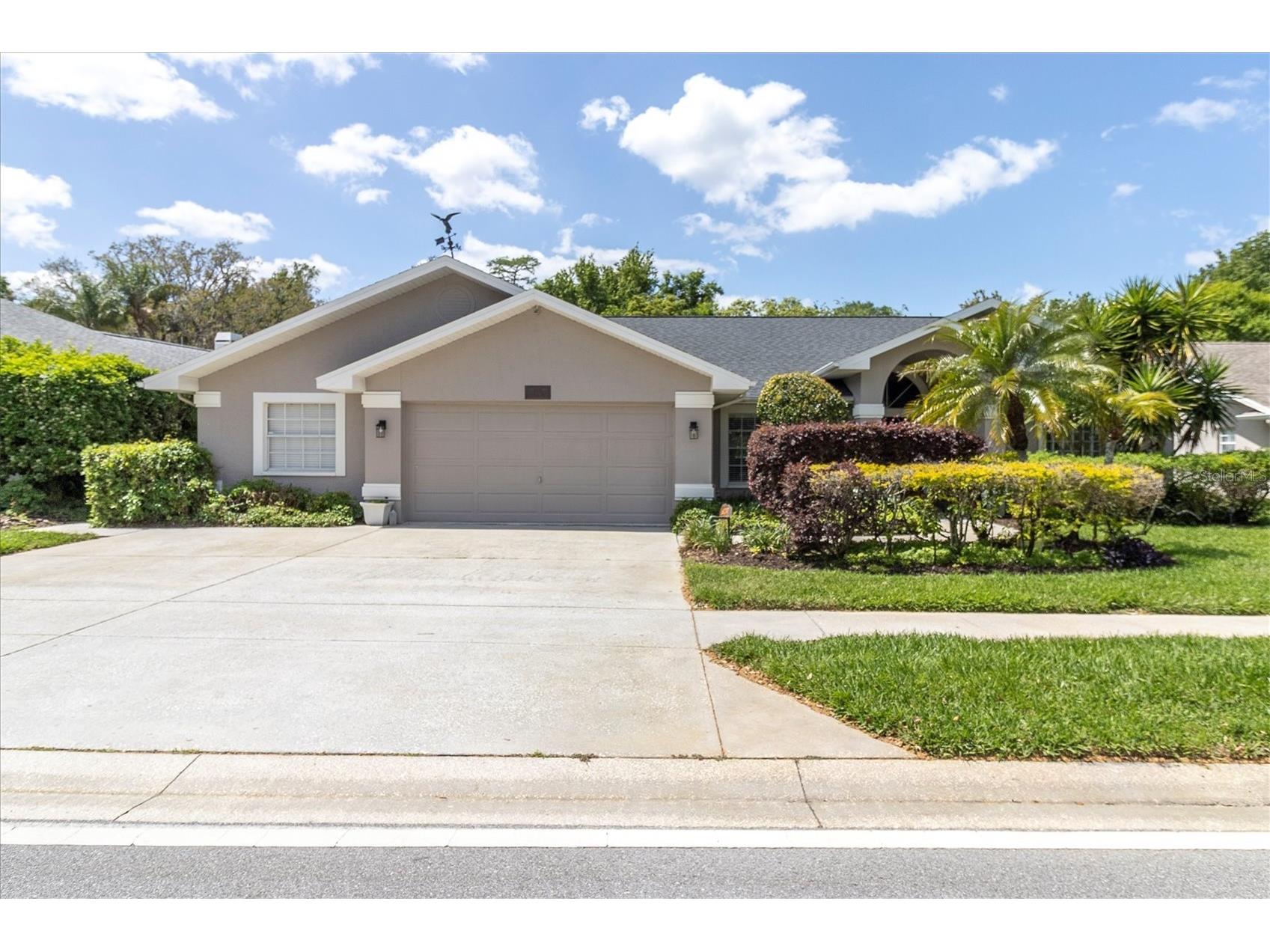 1806 Kinsmere Drive Trinity FL 34655 W7884433 image1