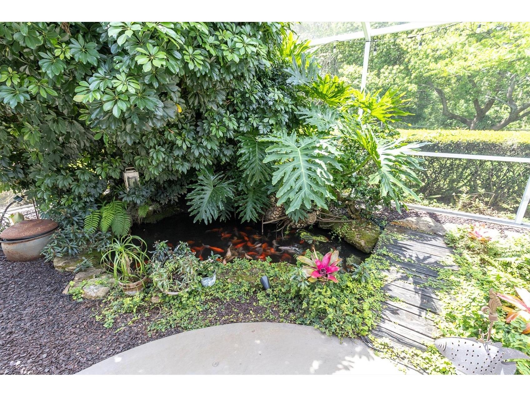 1806 Kinsmere Drive Trinity FL 34655 W7884433 image35