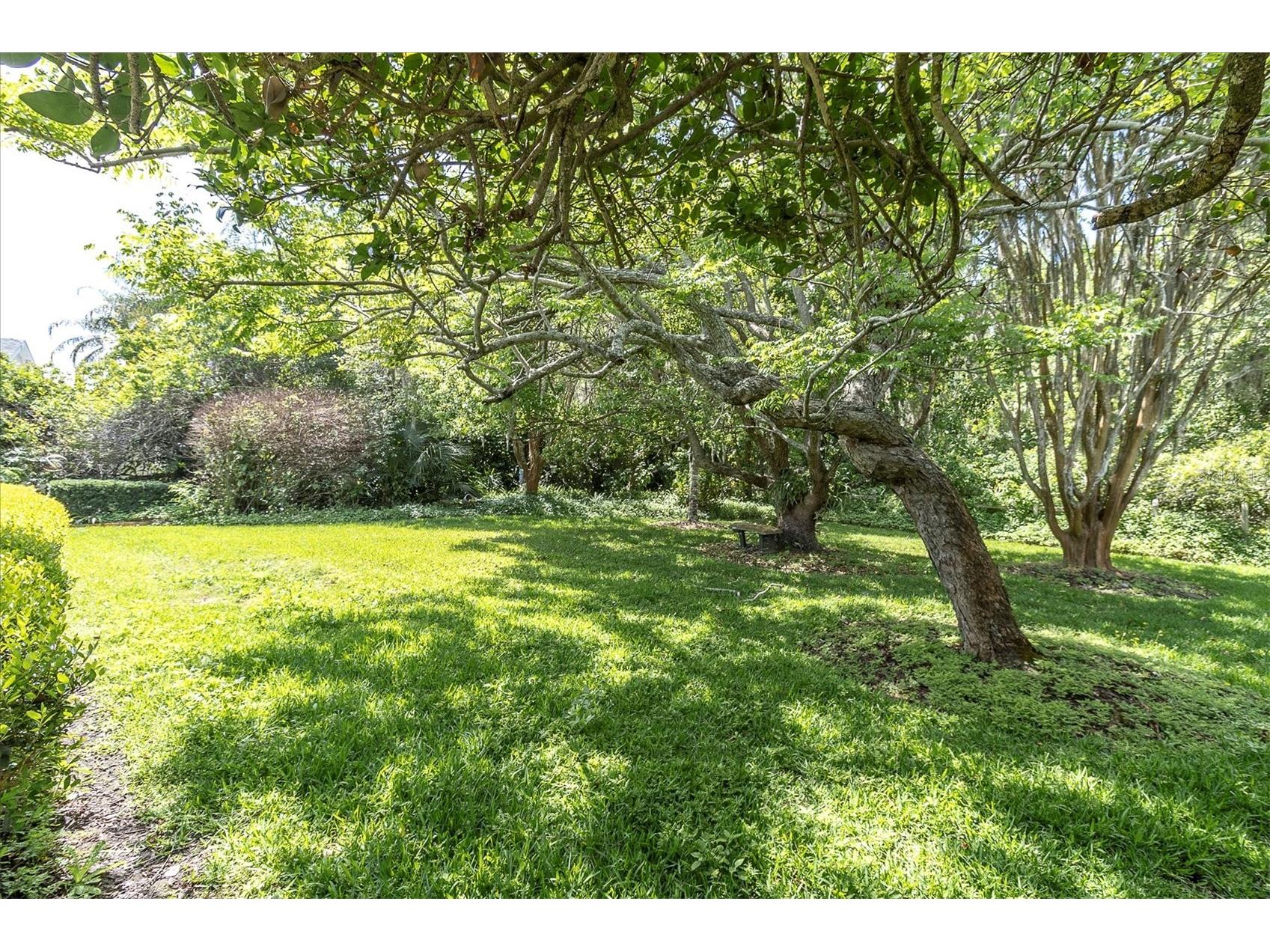 1806 Kinsmere Drive Trinity FL 34655 W7884433 image39