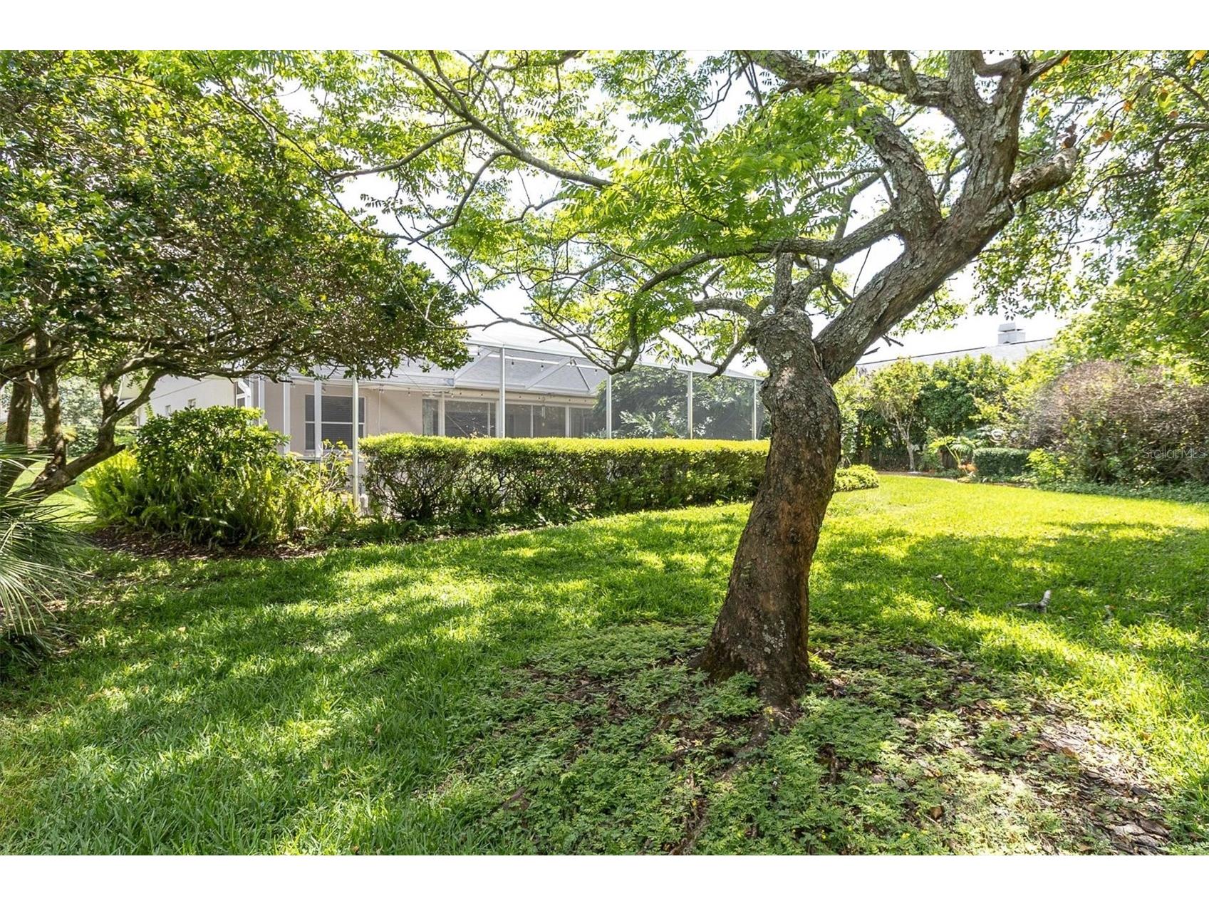 1806 Kinsmere Drive Trinity FL 34655 W7884433 image40