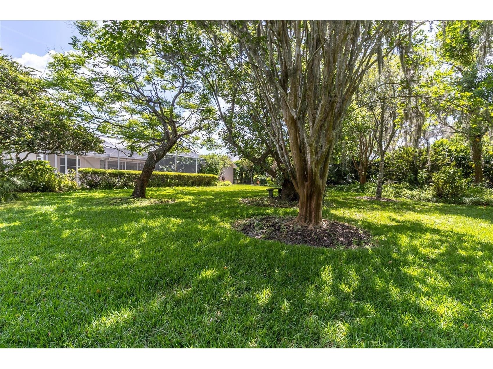 1806 Kinsmere Drive Trinity FL 34655 W7884433 image42