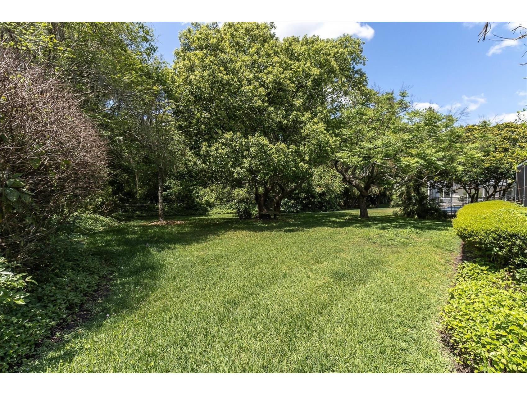 1806 Kinsmere Drive Trinity FL 34655 W7884433 image43