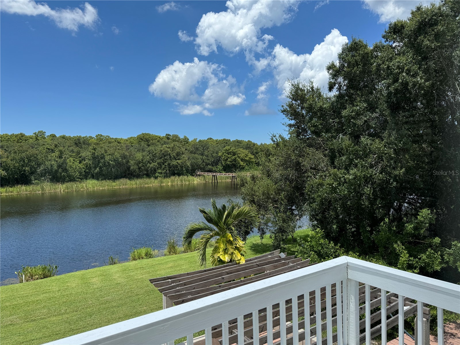 1806 Lago Vista Boulevard Palm Harbor FL 34685 TB8488546 image20