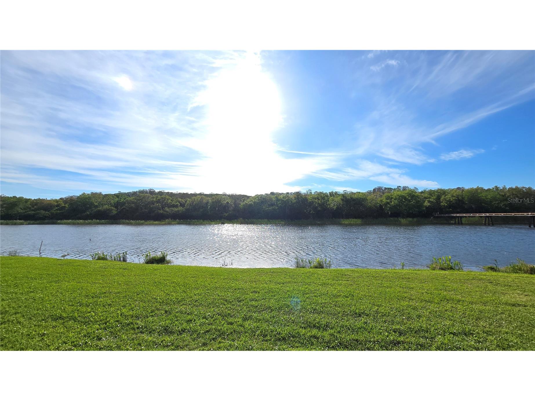 1806 Lago Vista Boulevard Palm Harbor FL 34685 TB8488546 image28