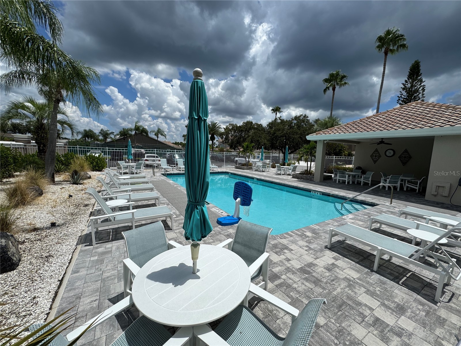 1806 Lago Vista Boulevard Palm Harbor FL 34685 TB8488546 image29