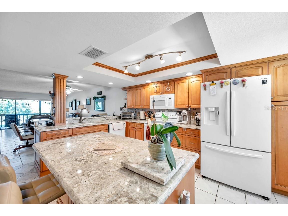 1806 Mariner Drive #117 Tarpon Springs FL 34689 TB8413153 image11