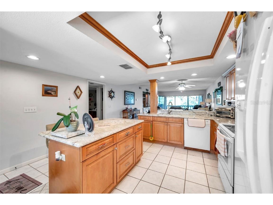 1806 Mariner Drive #117 Tarpon Springs FL 34689 TB8413153 image13