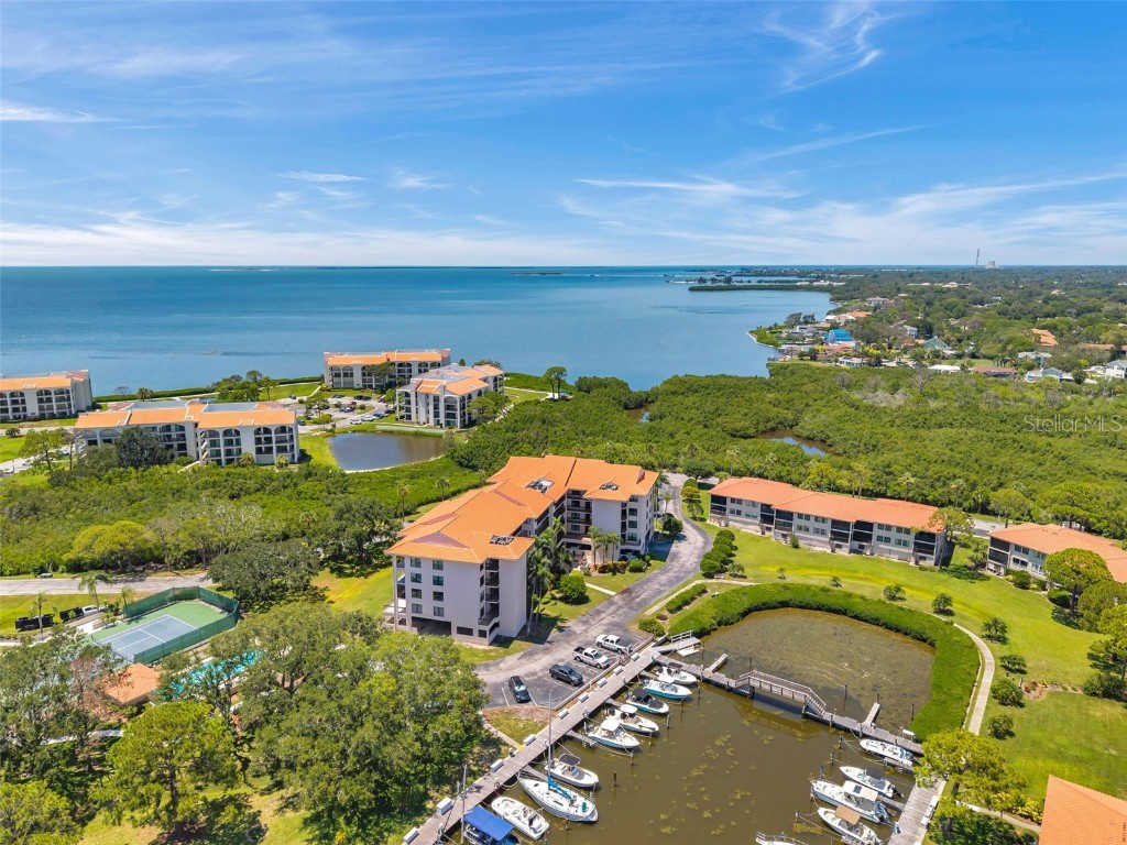 1806 Mariner Drive #117 Tarpon Springs FL 34689 TB8413153 image45