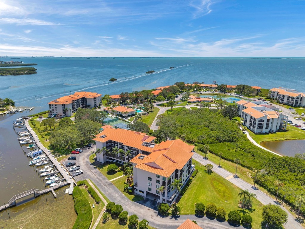 1806 Mariner Drive #117 Tarpon Springs FL 34689 TB8413153 image46