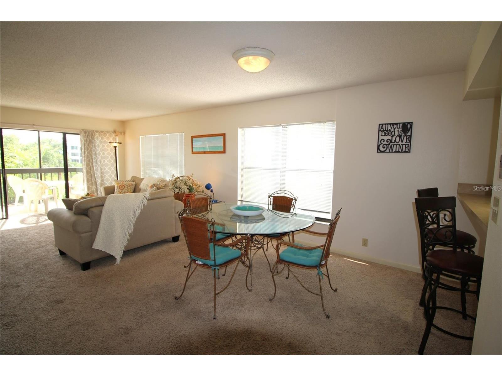 1806 Mariner Drive #214 Tarpon Springs FL 34689 - MARINA CANAL TO GULF OF MEXICO TB8495796 image13