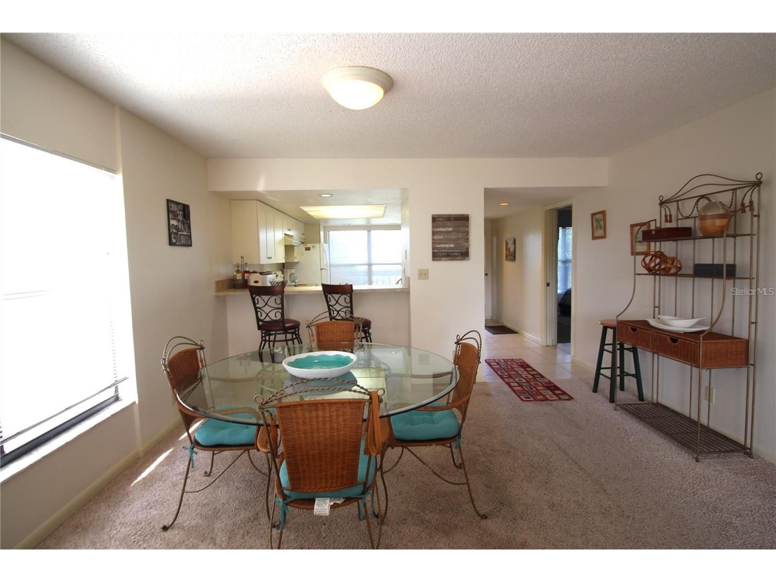 1806 Mariner Drive #214 Tarpon Springs FL 34689 - MARINA CANAL TO GULF OF MEXICO TB8495796 image14