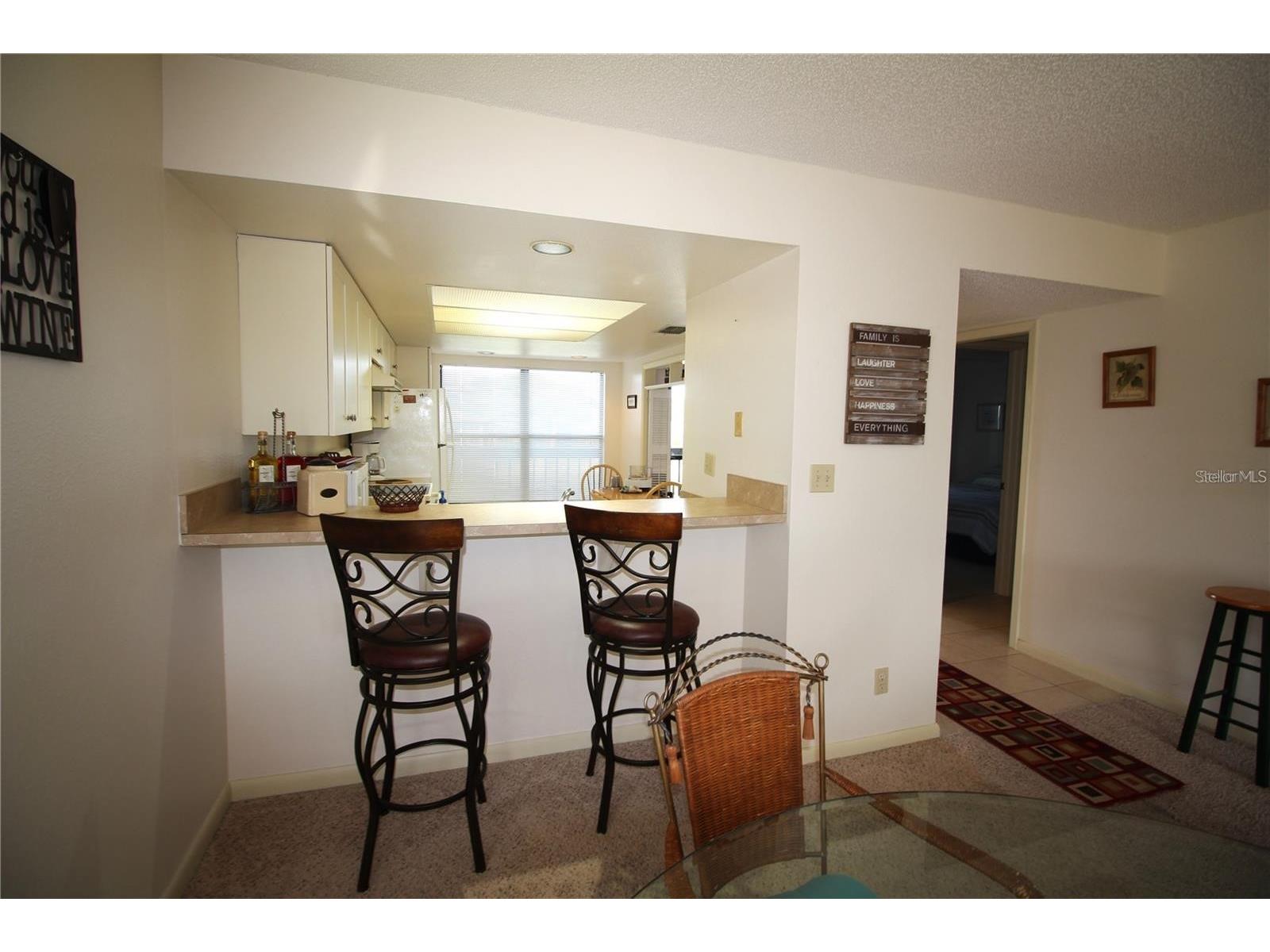 1806 Mariner Drive #214 Tarpon Springs FL 34689 - MARINA CANAL TO GULF OF MEXICO TB8495796 image15