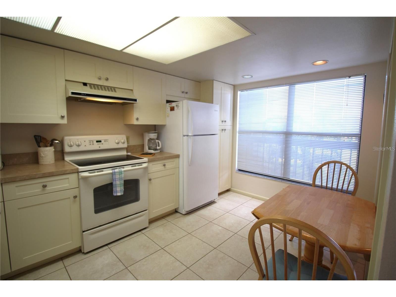 1806 Mariner Drive #214 Tarpon Springs FL 34689 - MARINA CANAL TO GULF OF MEXICO TB8495796 image22