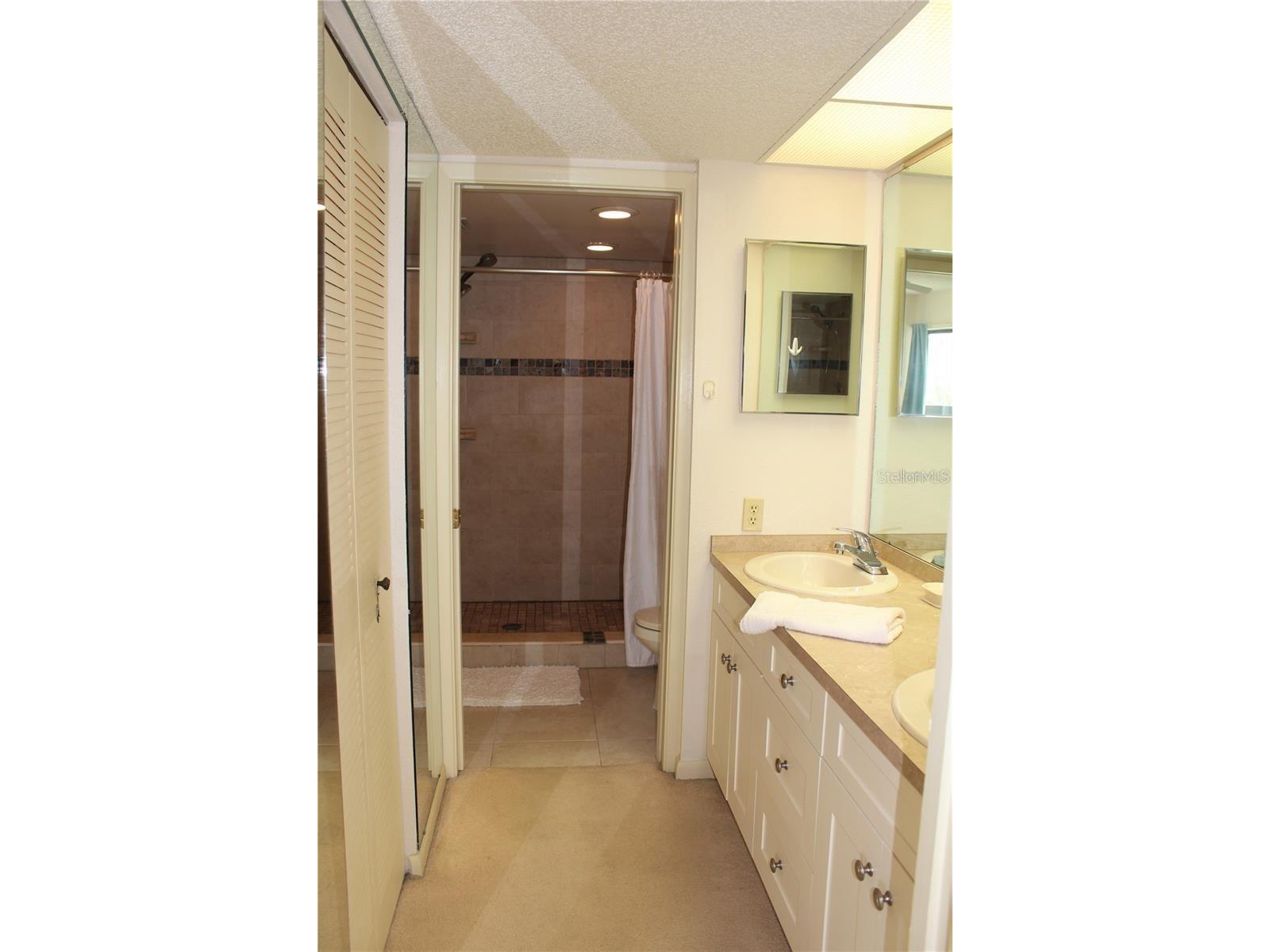 1806 Mariner Drive #214 Tarpon Springs FL 34689 - MARINA CANAL TO GULF OF MEXICO TB8495796 image29