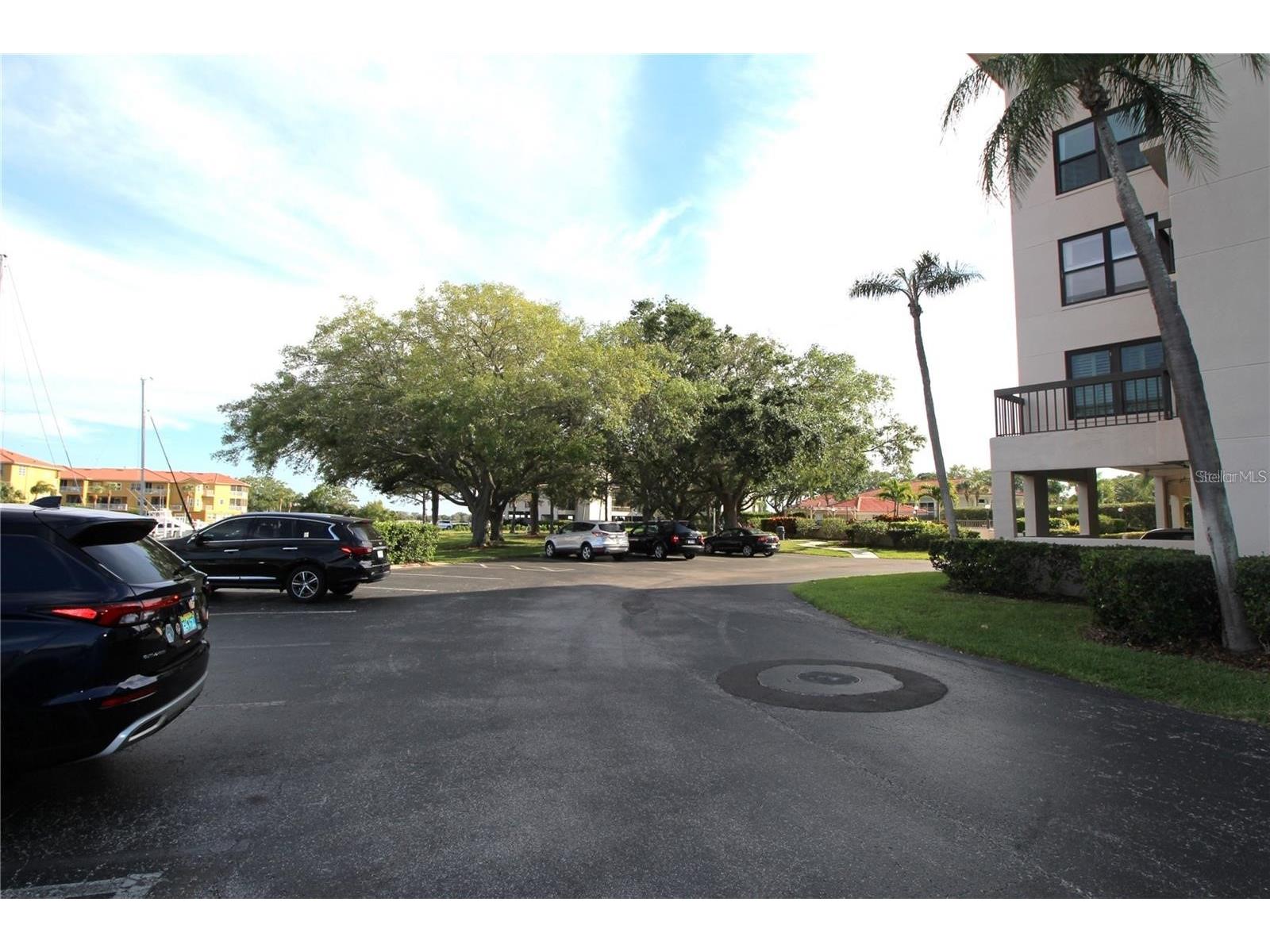 1806 Mariner Drive #214 Tarpon Springs FL 34689 - MARINA CANAL TO GULF OF MEXICO TB8495796 image60