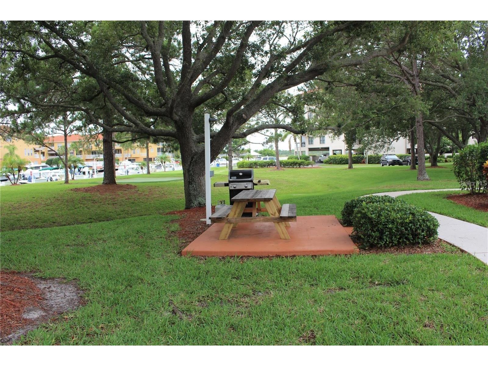 1806 Mariner Drive #214 Tarpon Springs FL 34689 - MARINA CANAL TO GULF OF MEXICO TB8495796 image62