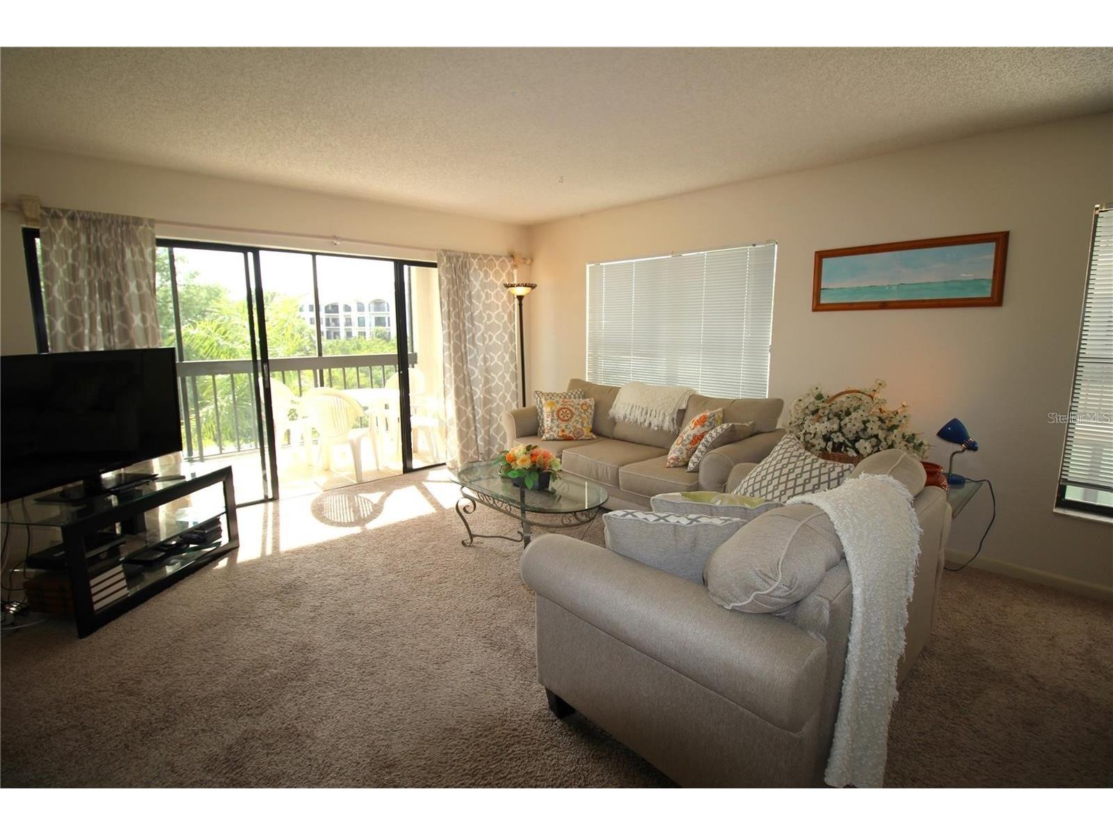 1806 Mariner Drive #214 Tarpon Springs FL 34689 - MARINA CANAL TO GULF OF MEXICO TB8495796 image7