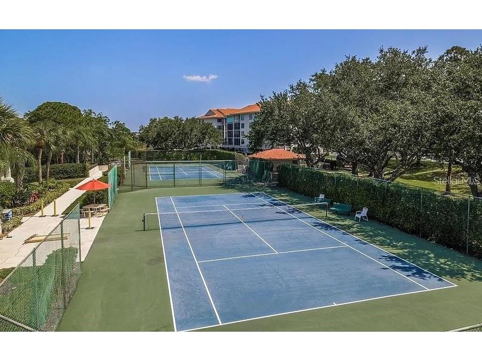 1806 Mariner Drive #214 Tarpon Springs FL 34689 - MARINA CANAL TO GULF OF MEXICO TB8495796 image73