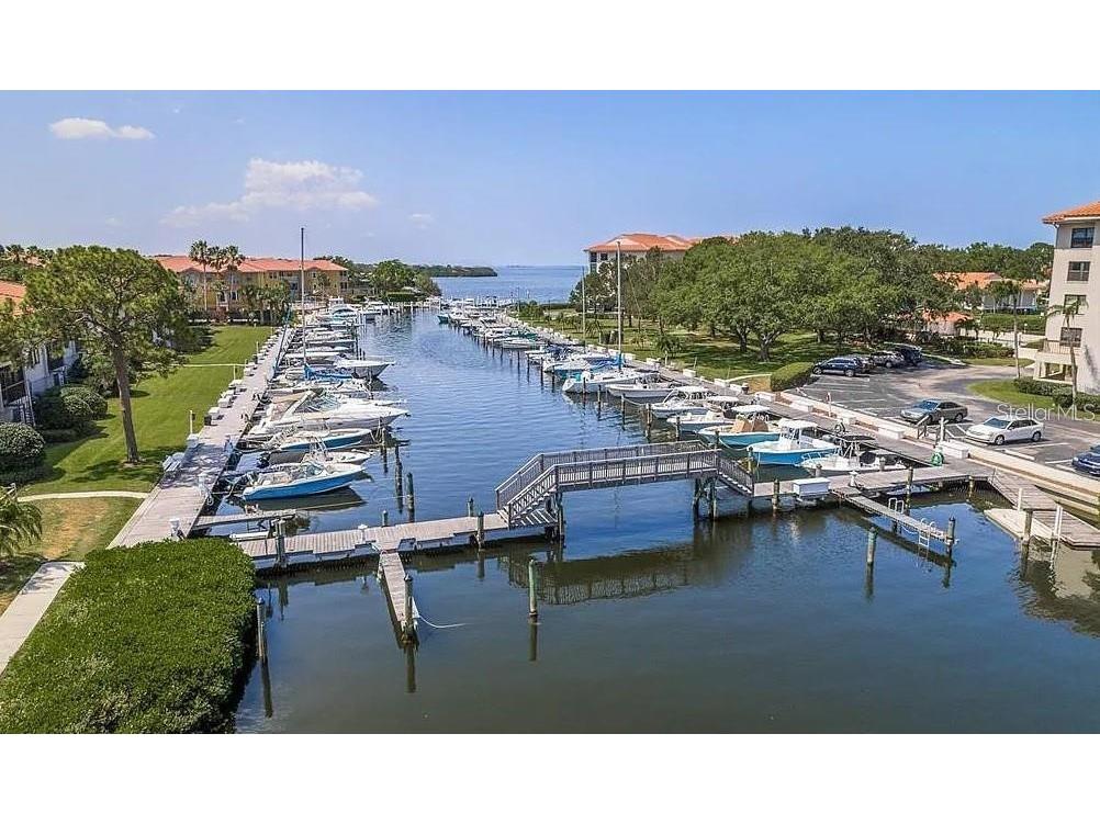 1806 Mariner Drive #214 Tarpon Springs FL 34689 - MARINA CANAL TO GULF OF MEXICO TB8495796 image77
