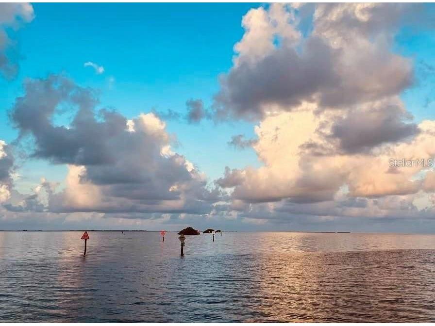 1806 Mariner Drive #214 Tarpon Springs FL 34689 - MARINA CANAL TO GULF OF MEXICO TB8495796 image80