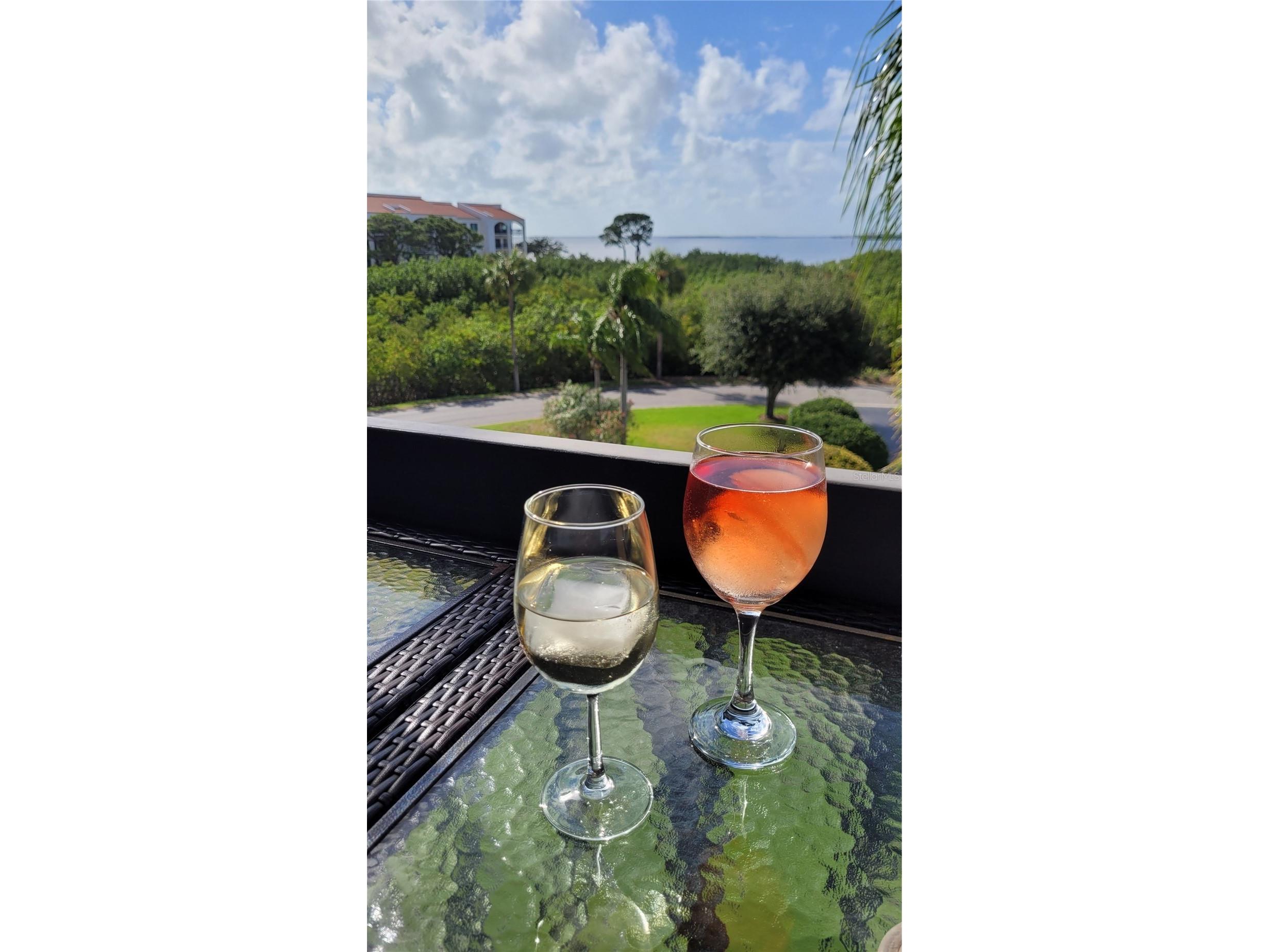 1806 Mariner Drive #318 Tarpon Springs FL 34689 - GULF TB8479122 image16