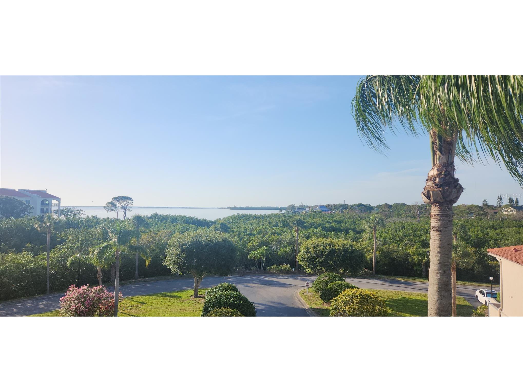 1806 Mariner Drive #318 Tarpon Springs FL 34689 - GULF TB8479122 image17