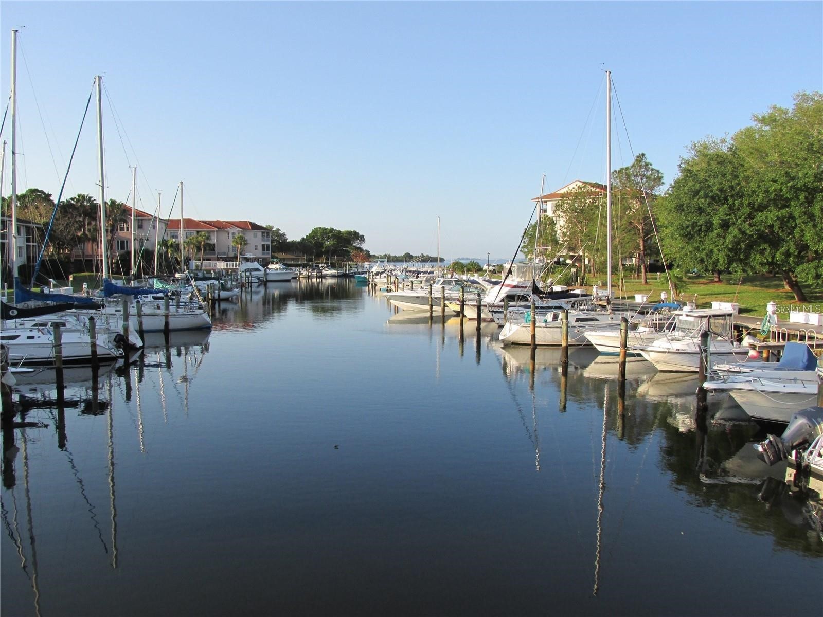 1806 Mariner Drive #318 Tarpon Springs FL 34689 - GULF TB8479122 image35