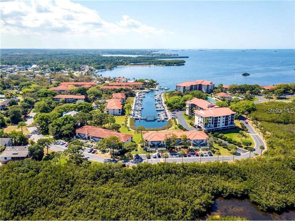 1806 Mariner Drive #318 Tarpon Springs FL 34689 - GULF TB8479122 image4