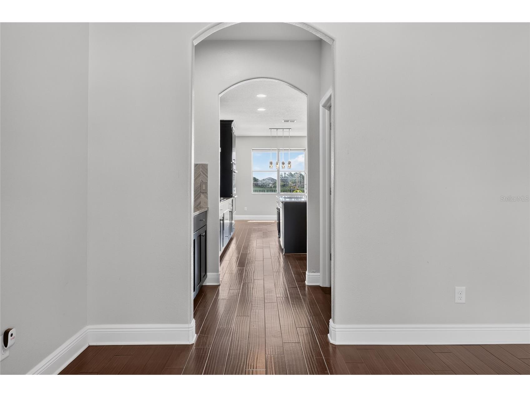 1806 Nature View Drive Lutz FL 33558 L4963381 image16