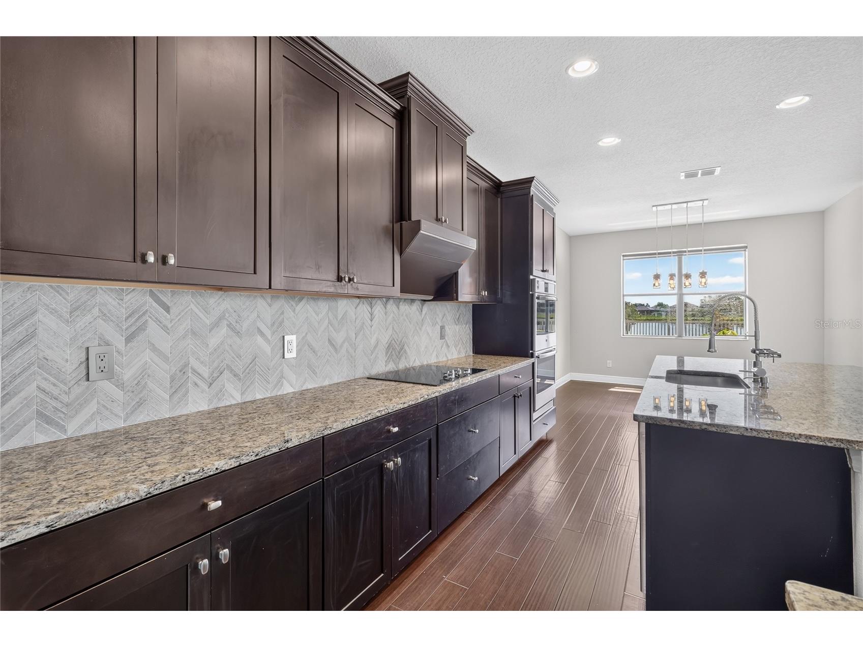 1806 Nature View Drive Lutz FL 33558 L4963381 image32