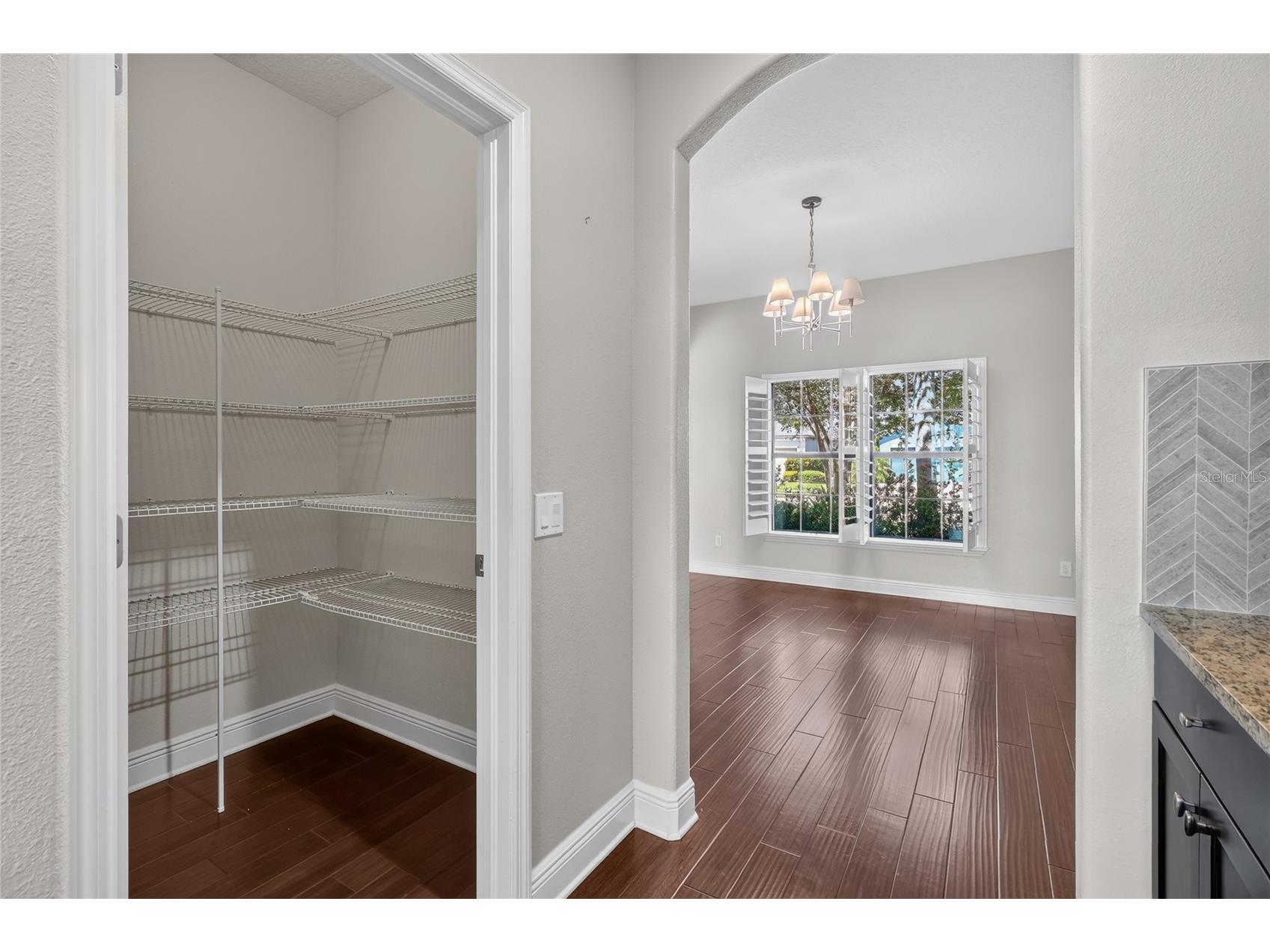 1806 Nature View Drive Lutz FL 33558 L4963381 image35