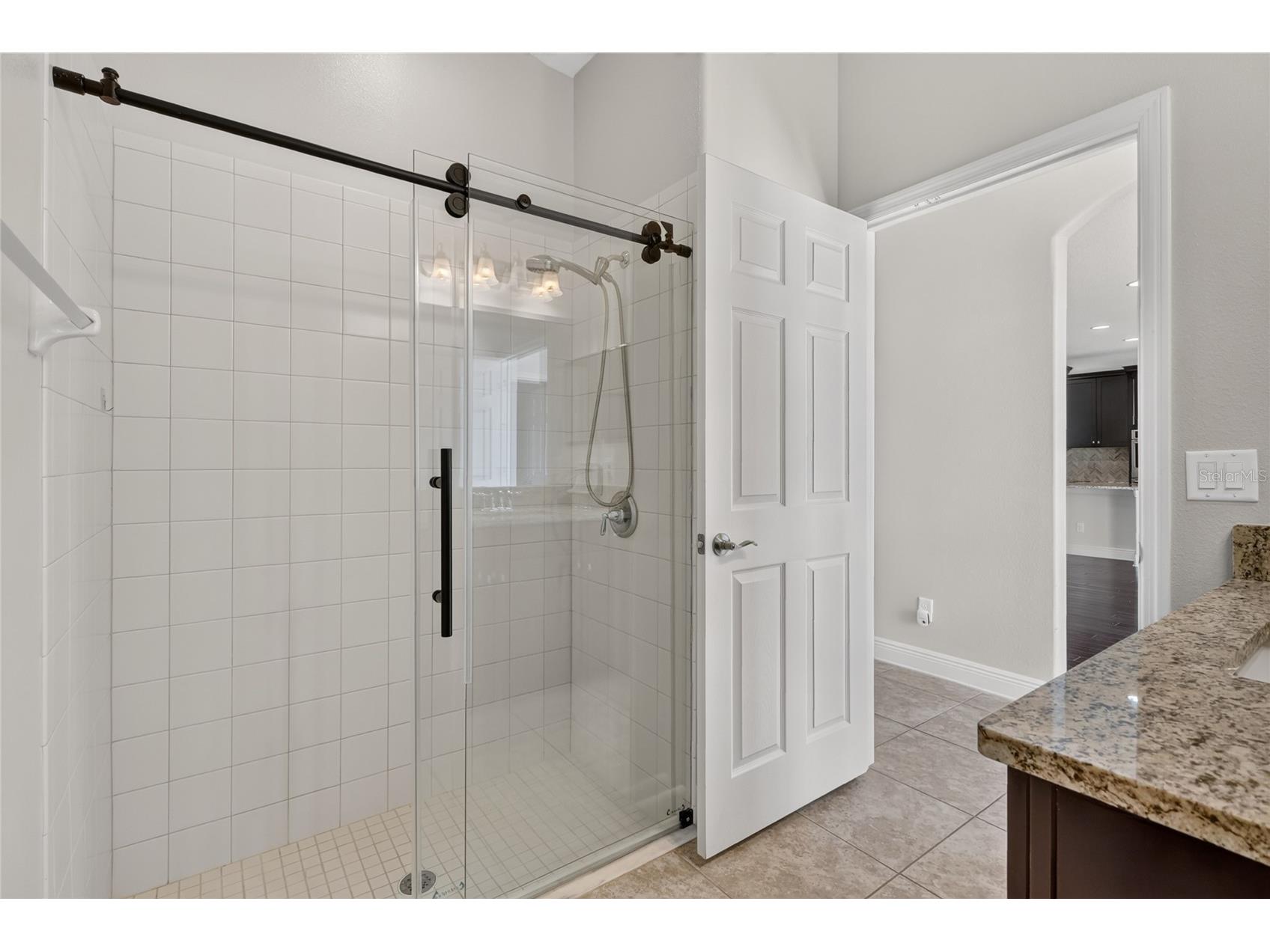 1806 Nature View Drive Lutz FL 33558 L4963381 image44