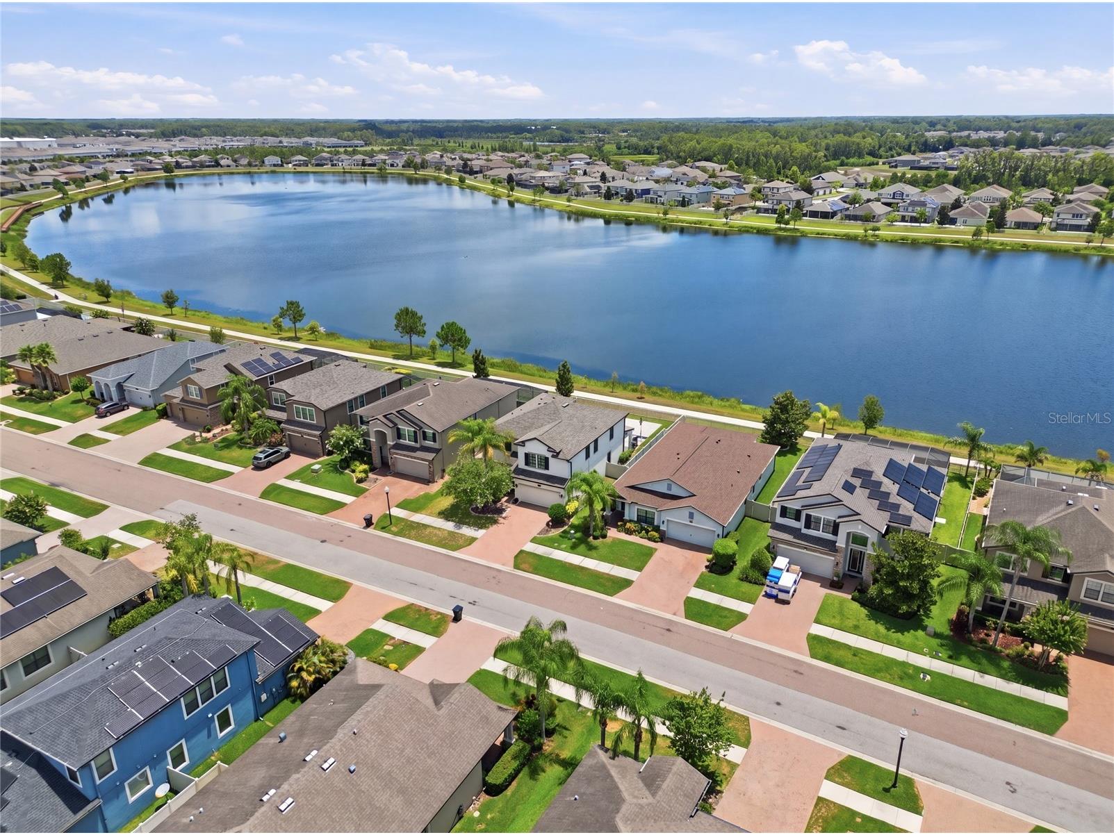1806 Nature View Drive Lutz FL 33558 L4963381 image5