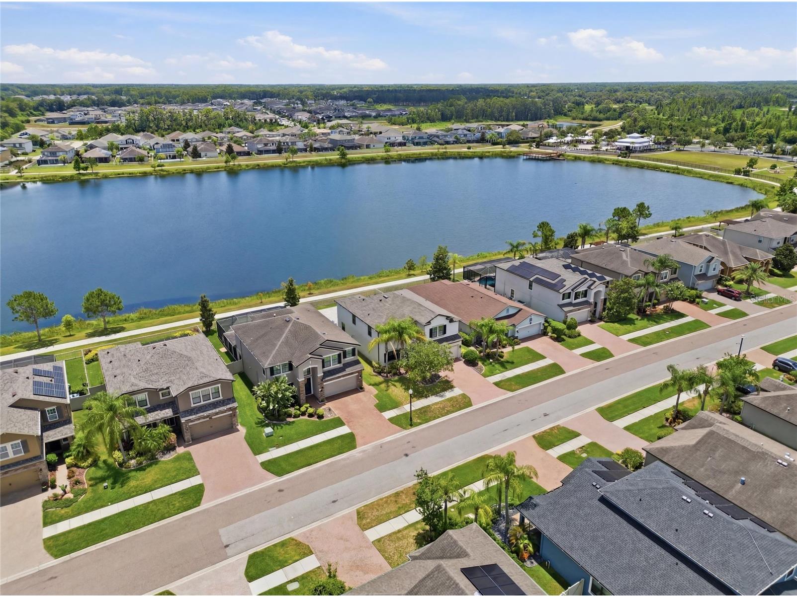 1806 Nature View Drive Lutz FL 33558 L4963381 image6