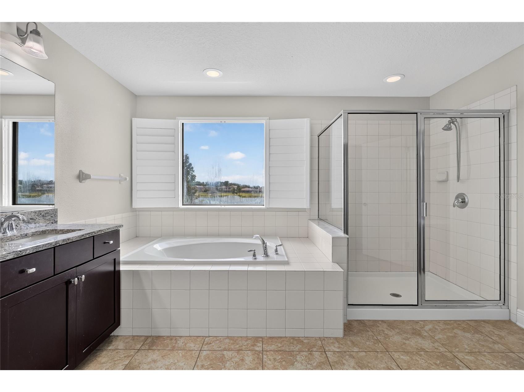 1806 Nature View Drive Lutz FL 33558 L4963381 image74