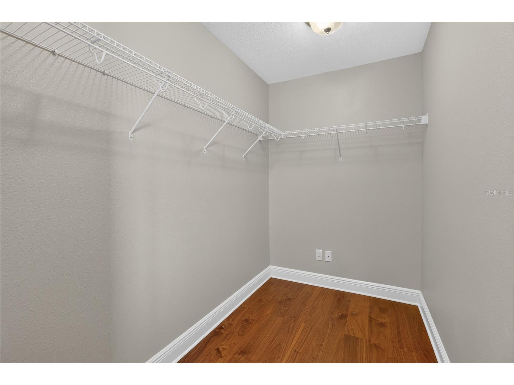 1806 Nature View Drive Lutz FL 33558 L4963381 image78