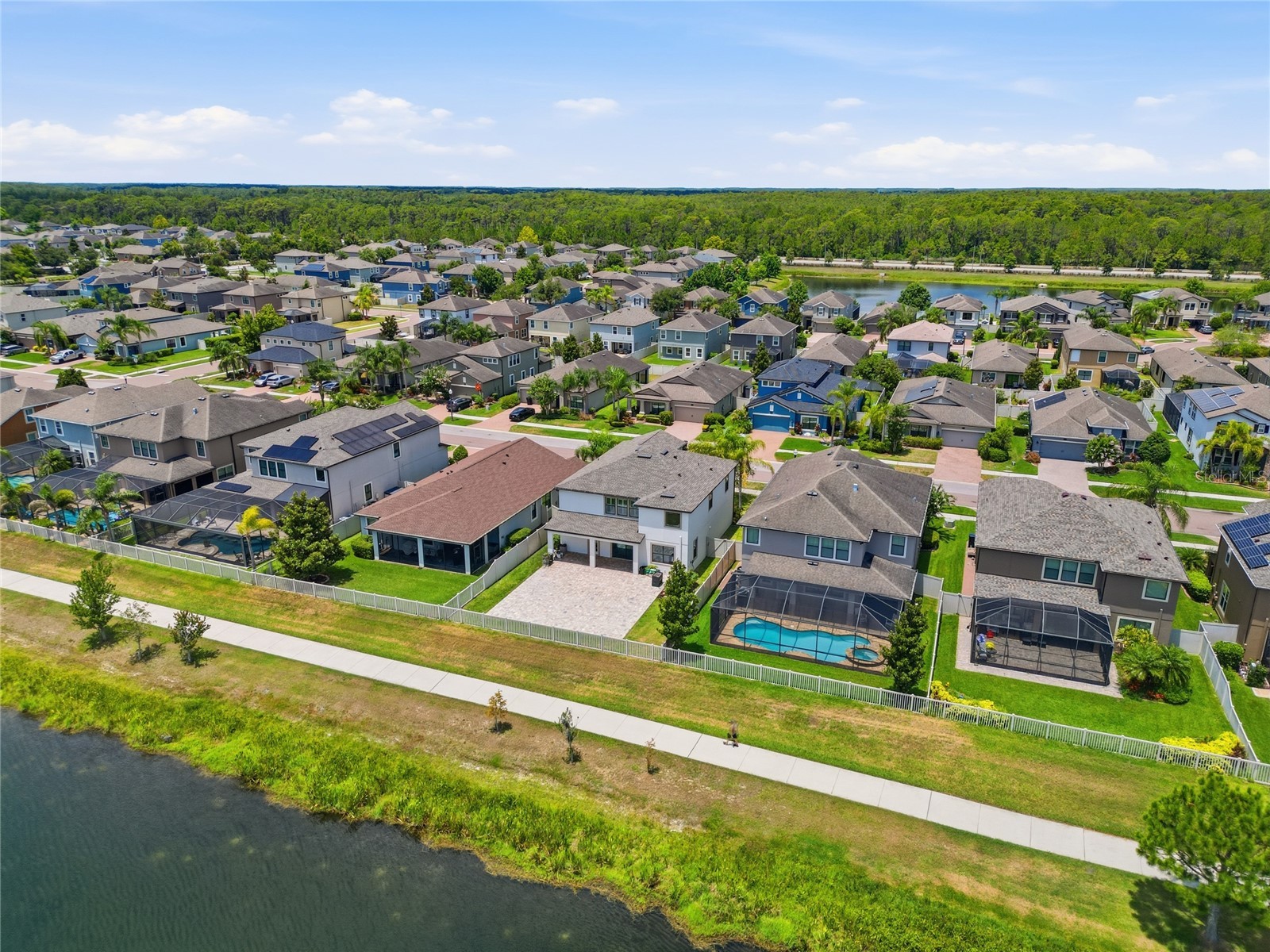 1806 Nature View Drive Lutz FL 33558 L4963381 image89