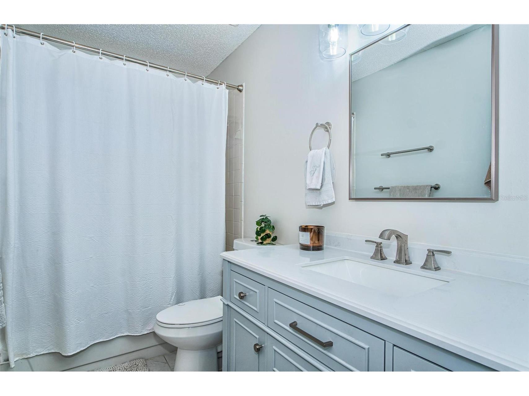 1806 River Crossing Drive Valrico FL 33596 TB8503859 image30