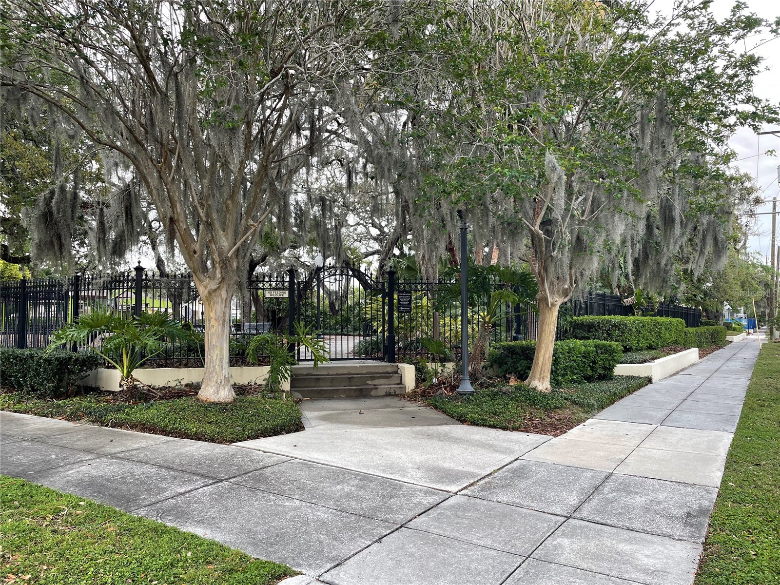 1806 W Morrison Avenue #3 Tampa FL 33606 TB8459188 image26
