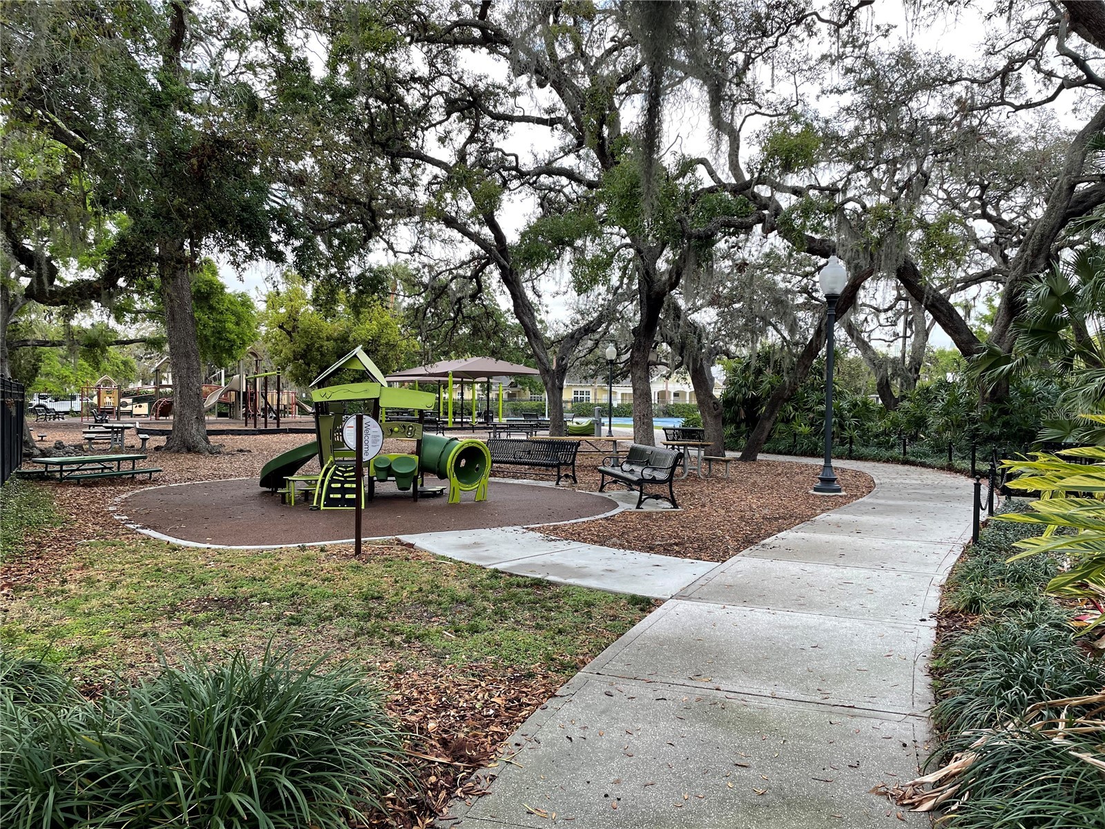 1806 W Morrison Avenue #3 Tampa FL 33606 TB8459188 image27
