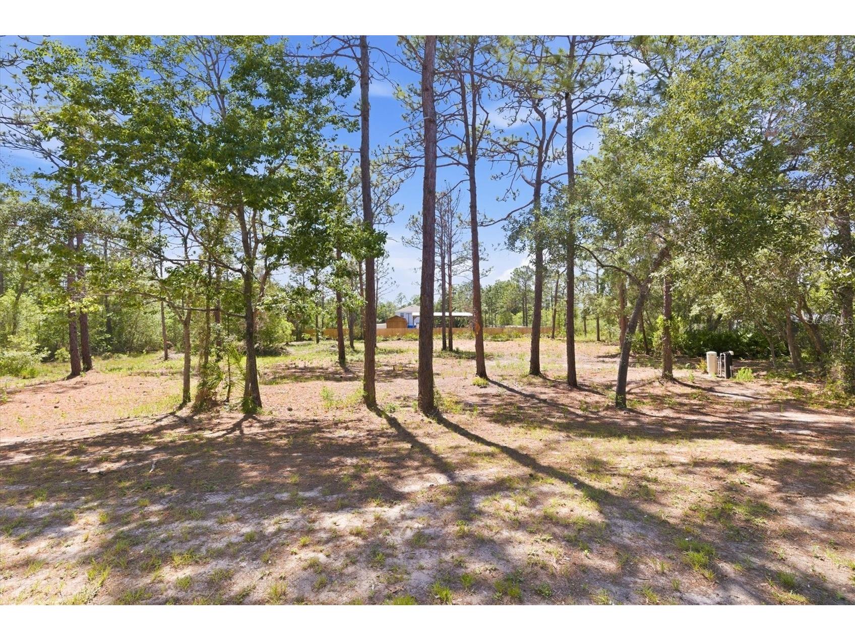 18063 Parrot Road Weeki Wachee FL 34614 W7885633 image46
